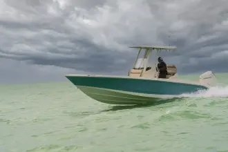 Thumbnail von Boston Whaler 250 Dauntless