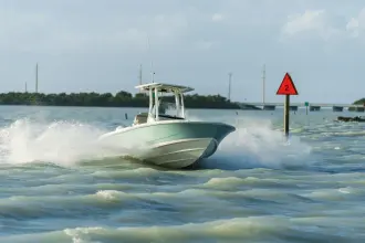 Thumbnail von Boston Whaler 250 Dauntless
