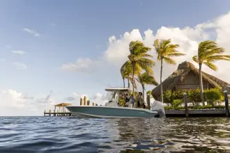 Thumbnail von Boston Whaler 250 Dauntless