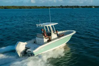 Thumbnail von Boston Whaler 250 Dauntless