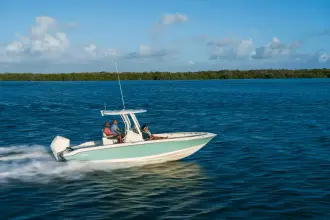 Thumbnail von Boston Whaler 250 Dauntless