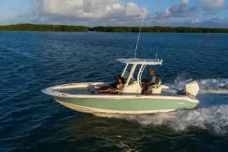 Thumbnail von Boston Whaler 250 Dauntless
