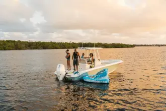 Thumbnail von Boston Whaler 250 Dauntless