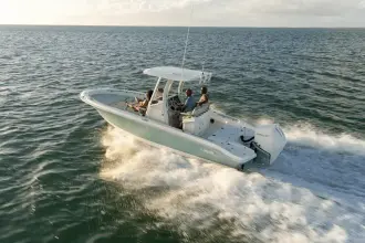 Thumbnail von Boston Whaler 250 Dauntless