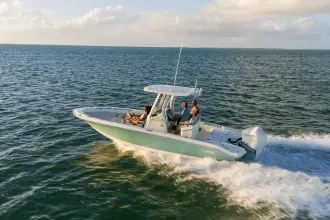 Thumbnail von Boston Whaler 250 Dauntless