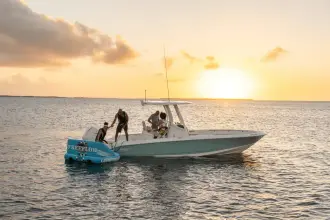 Thumbnail von Boston Whaler 250 Dauntless
