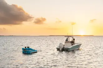 Thumbnail von Boston Whaler 250 Dauntless