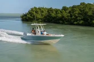Thumbnail von Boston Whaler 250 Dauntless