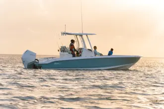 Thumbnail von Boston Whaler 250 Dauntless
