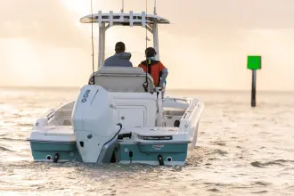 Thumbnail von Boston Whaler 250 Dauntless