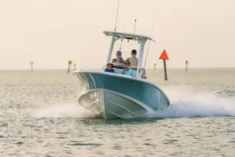 Thumbnail von Boston Whaler 250 Dauntless