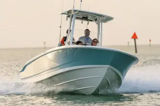 Thumbnail von Boston Whaler 250 Dauntless