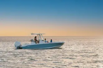 Thumbnail von Boston Whaler 250 Dauntless
