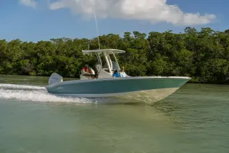 Thumbnail von Boston Whaler 250 Dauntless