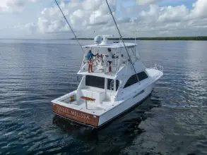 Thumbnail von Viking 48 Convertible Sweet Melissa