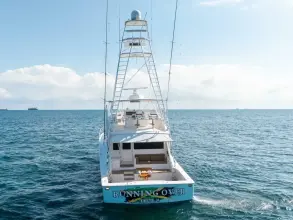 Thumbnail von Viking 68 Convertible LÄUFT ÜBER