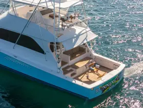 Thumbnail von Viking 68 Convertible LÄUFT ÜBER