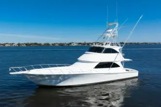 Thumbnail von Viking 64 Enclosed Bridge High Life