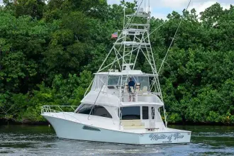 Thumbnail von Viking 56 Convertible MATTER OF TIME