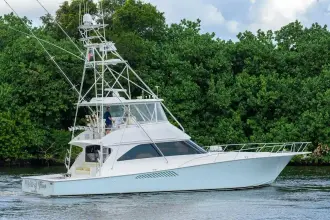 Thumbnail von Viking 56 Convertible MATTER OF TIME