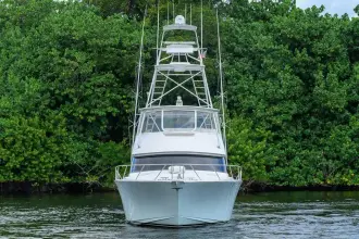 Thumbnail von Viking 56 Convertible MATTER OF TIME