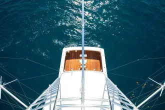 Thumbnail von Viking 56 Convertible GIANNA MARIE