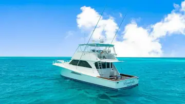 Thumbnail von Viking 55 Convertible