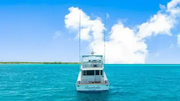 Thumbnail von Viking 55 Convertible