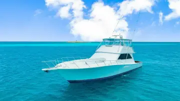 Thumbnail von Viking 55 Convertible