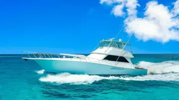 Thumbnail von Viking 55 Convertible