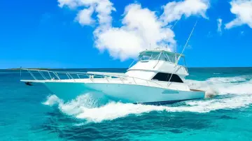 Thumbnail von Viking 55 Convertible