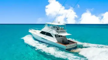 Thumbnail von Viking 55 Convertible