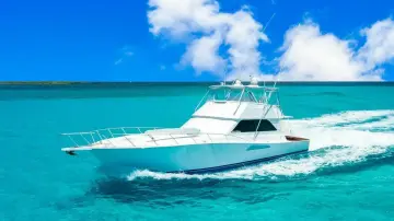 Thumbnail von Viking 55 Convertible
