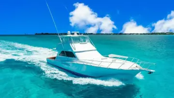 Thumbnail von Viking 55 Convertible