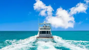 Thumbnail von Viking 55 Convertible