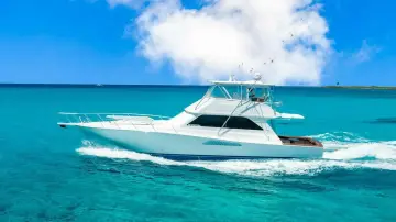 Thumbnail von Viking 55 Convertible