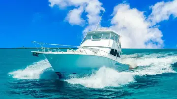 Thumbnail von Viking 55 Convertible