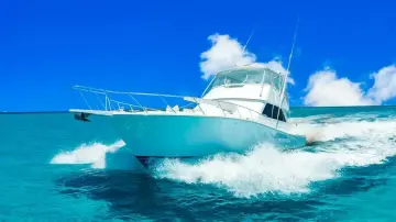 Thumbnail von Viking 55 Convertible