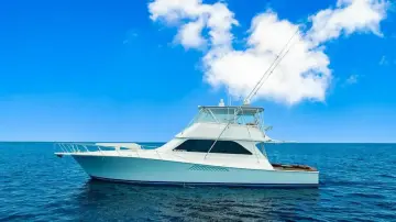 Thumbnail von Viking 55 Convertible