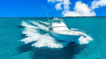 Thumbnail von Viking 55 Convertible