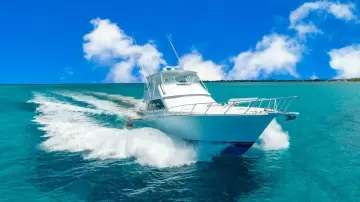 Thumbnail von Viking 55 Convertible