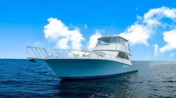 Thumbnail von Viking 55 Convertible
