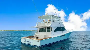 Thumbnail von Viking 55 Convertible