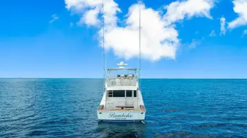 Thumbnail von Viking 55 Convertible