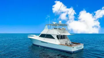Thumbnail von Viking 55 Convertible