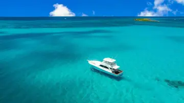 Thumbnail von Viking 55 Convertible