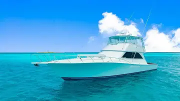 Thumbnail von Viking 55 Convertible