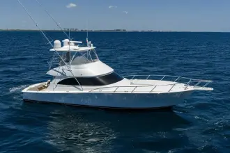 Viking 54 Convertible Hundehütte