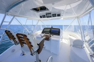Thumbnail von Viking 54 Convertible Hundehütte