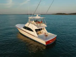 Thumbnail von Viking 54 Convertible SALTY DOG